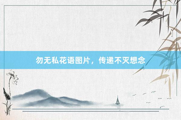 勿无私花语图片，传递不灭想念